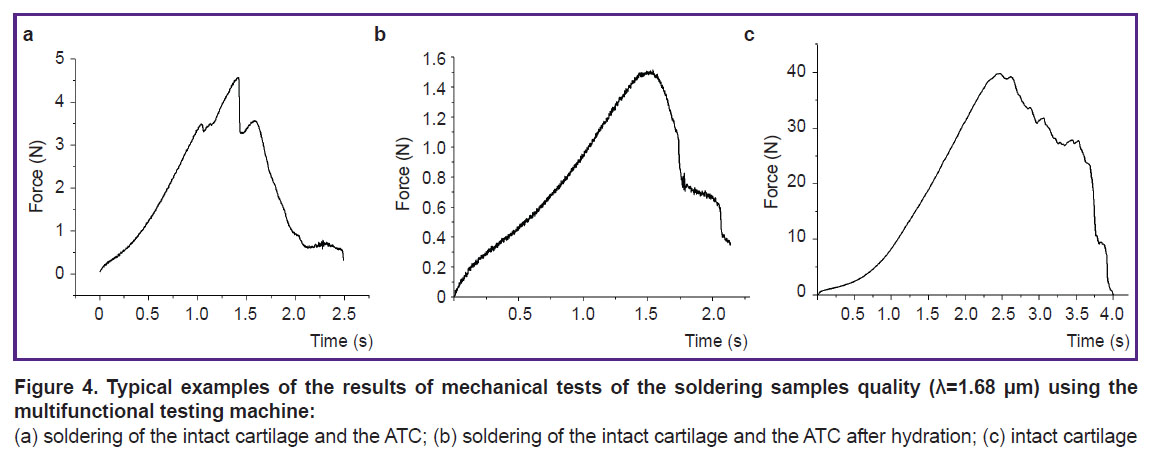 ignatieva-fig-4.jpg
