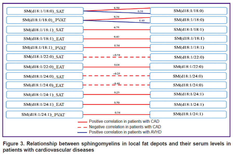 belik-fig-3.jpg