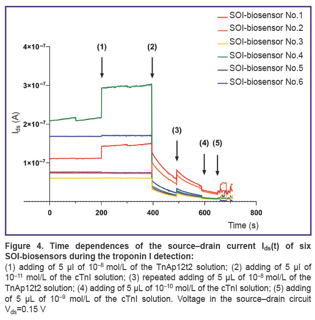 cheremiskina-fig-4.jpg