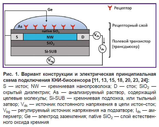 cheremiskina-ris-1.jpg