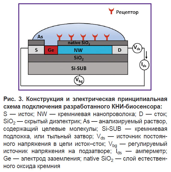 cheremiskina-ris-3.jpg