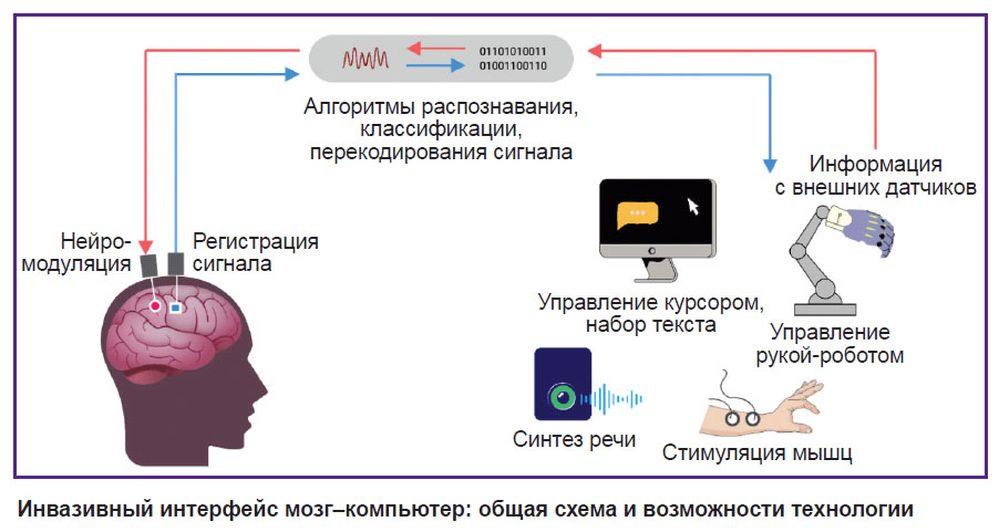 mokienko-ris.jpg