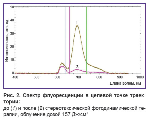 rafaelian-ris-2.jpg