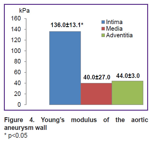 sankova-fig-4.jpg