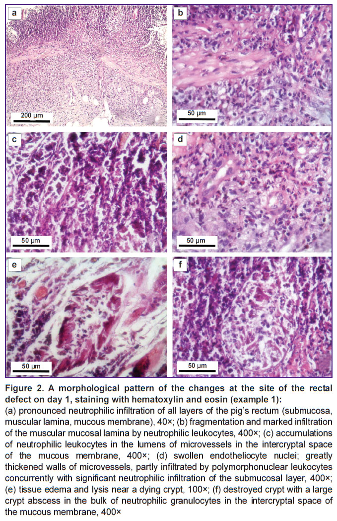 fedulova-fig-2.jpg