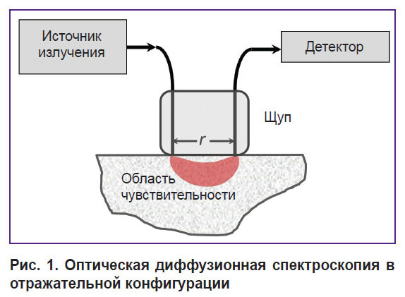 bylinskaya-ris-1.jpg