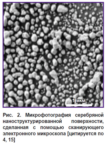 morozova-ris-2.jpg
