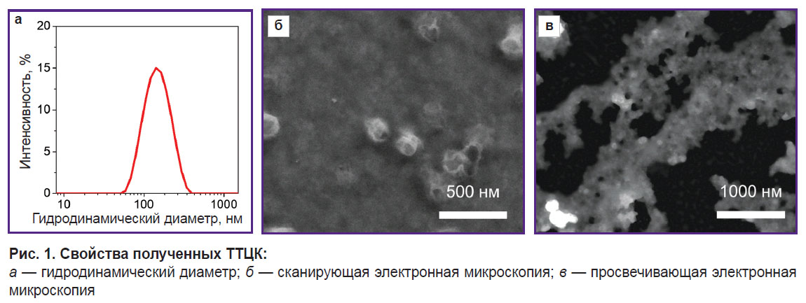 peltek-ris-1.jpg