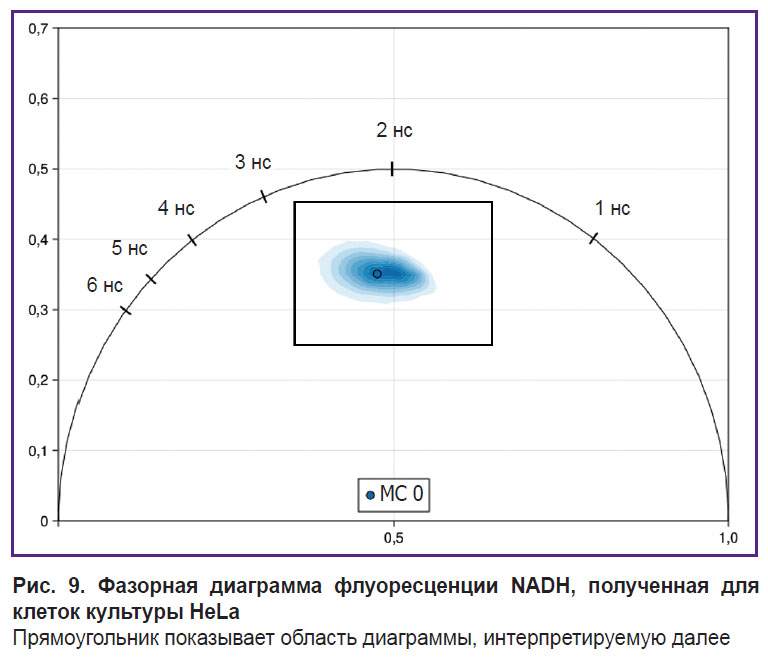 ryabova-ris-9.jpg