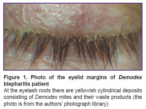 igonin-fig-1.jpg