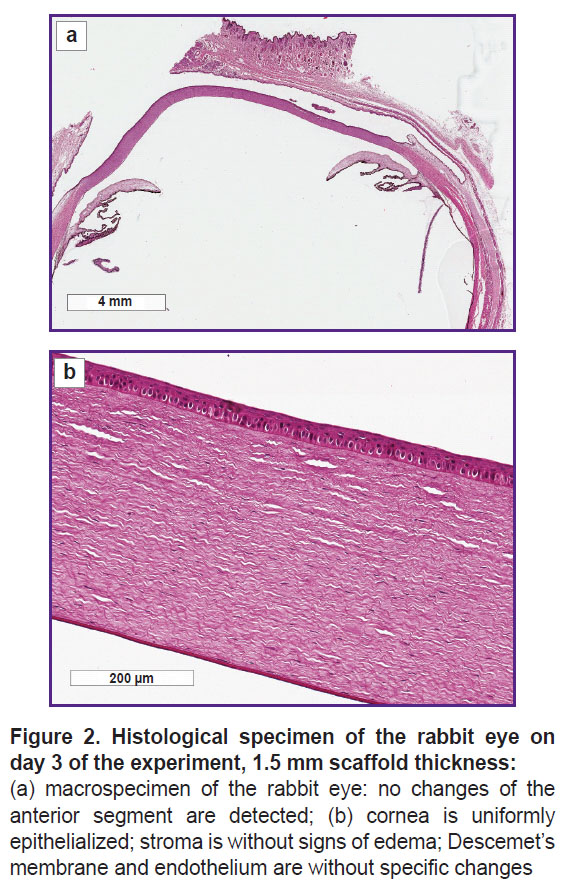 grigoryeva-fig-2.jpg
