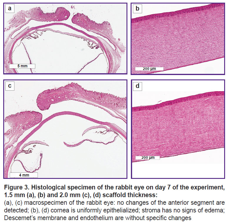 grigoryeva-fig-3.jpg