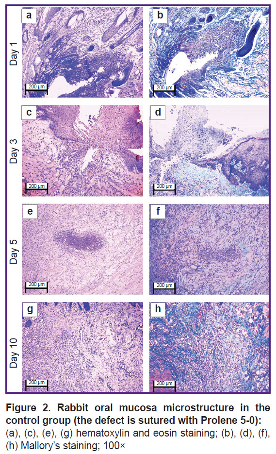 morozova-fig-2.jpg