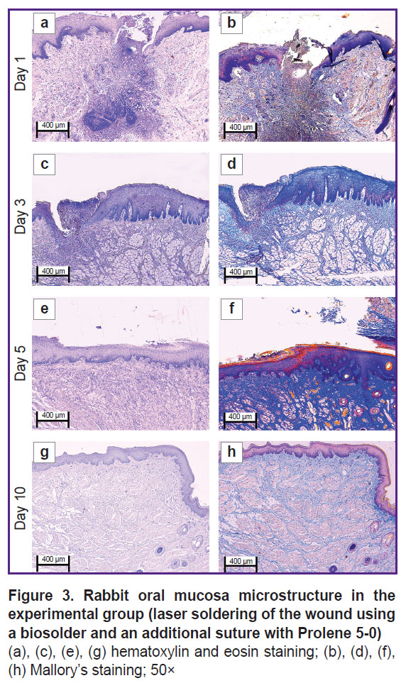 morozova-fig-3.jpg