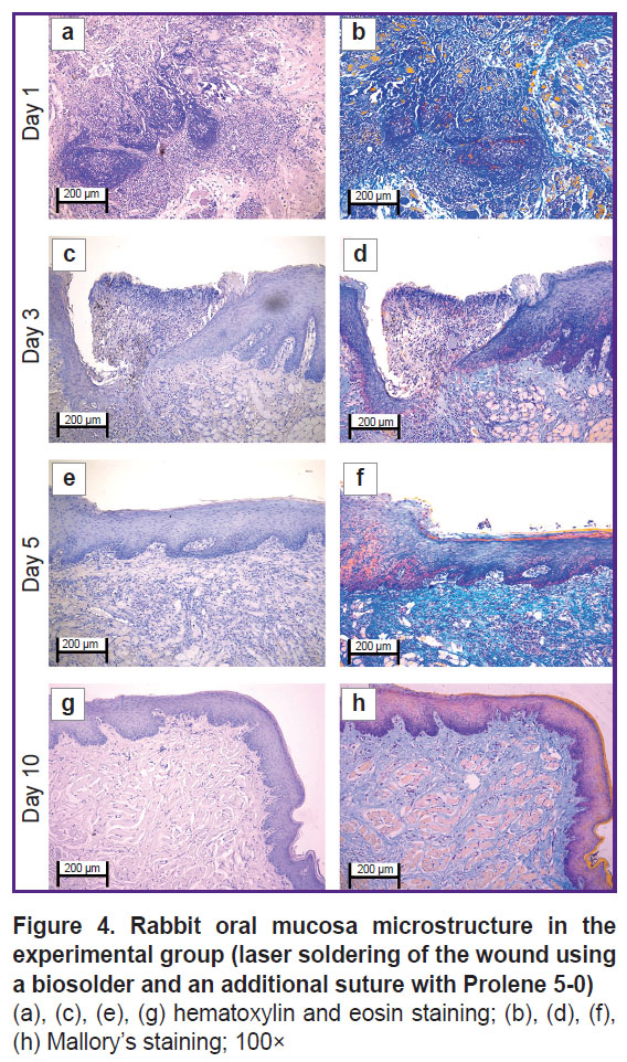 morozova-fig-4.jpg