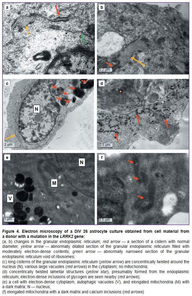 stm-18-1-01-fig-4.jpg
