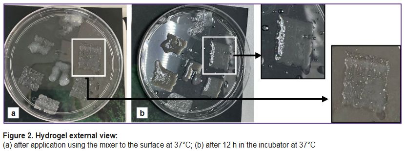 stm-18-1-02-fig-2.jpg