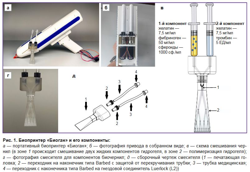 stm-18-1-02-fig-1.jpg