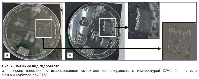 stm-18-1-02-fig-2.jpg