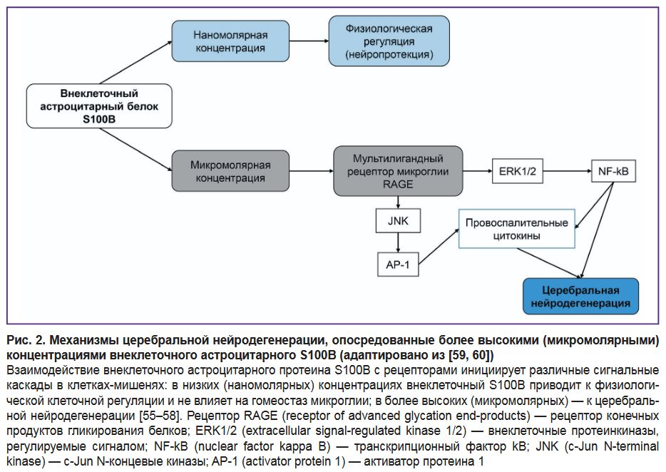 stm-18-1-05-fig-2.jpg