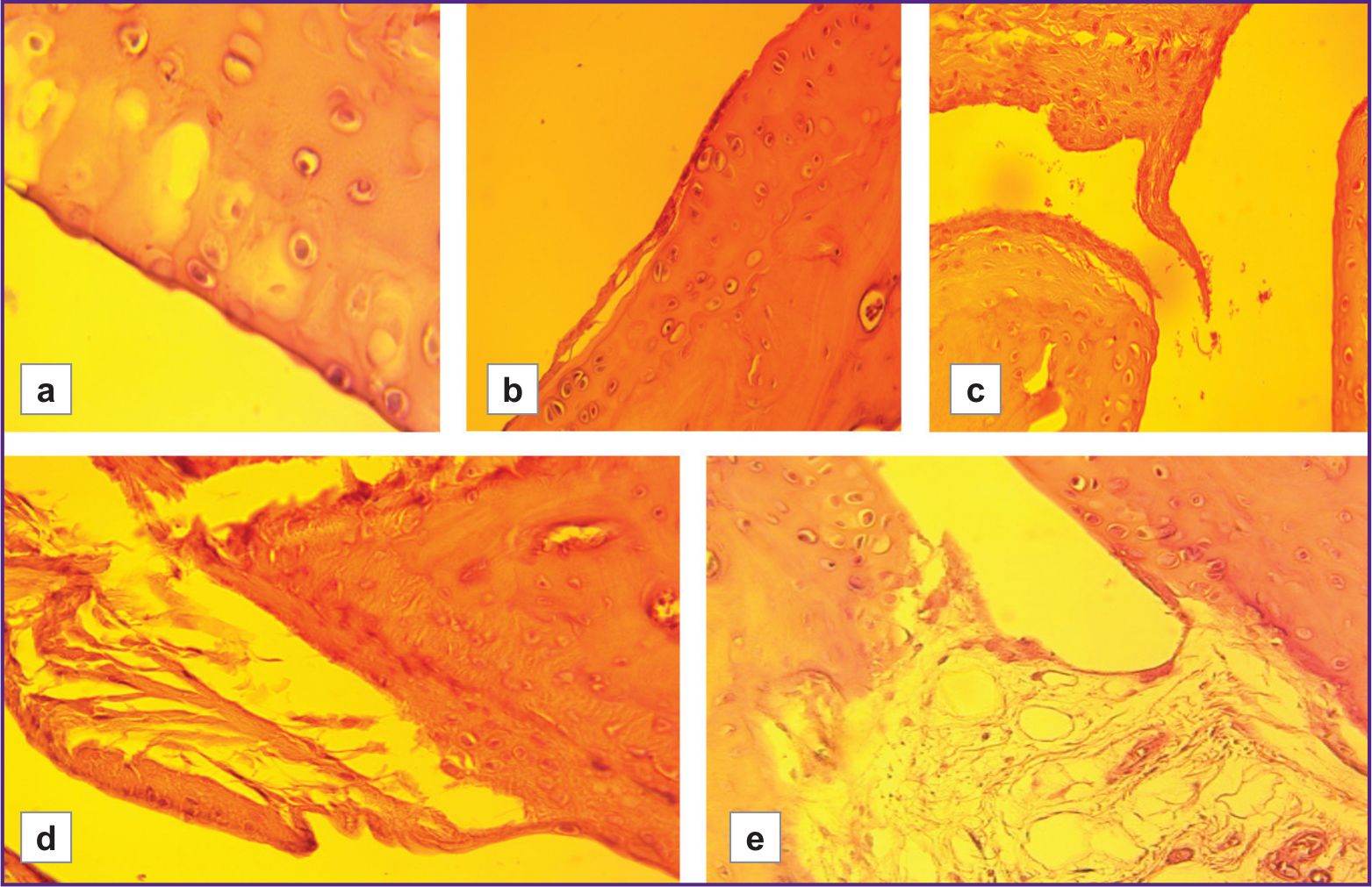 stm-18-2-04-fig-03.jpg