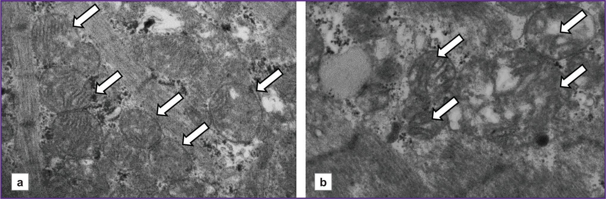 stm-18-2-05-fig-04.jpg